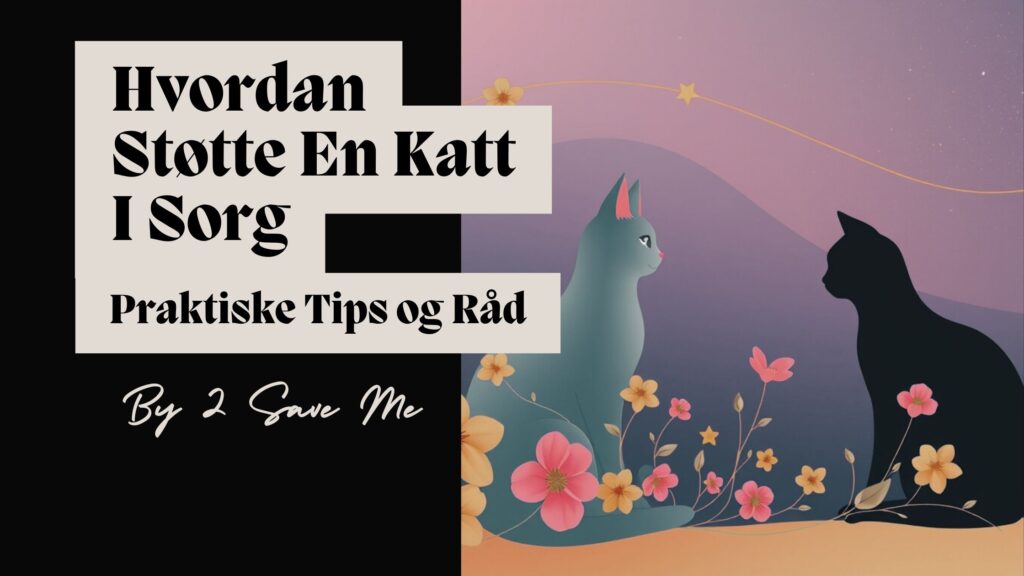 Hvordan støtte en katt i sorg