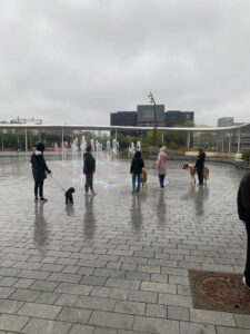 Flere personer går på våt brostein utendørs