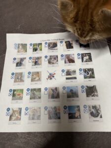 Papi bingo rark med bilder og symboler ligger spredt på bord