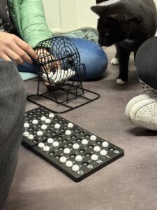 Hender holder metallkurv over brett med runde markeringer