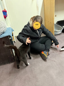 Person sitter på huk på gulvet mens katt står ved siden av