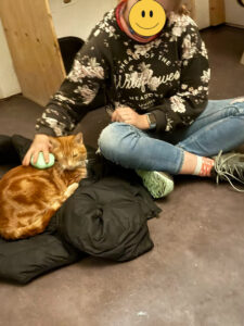 Person sitter på gulvet med katt foran seg