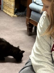 Ungdom sitter på gulvet med katt ved siden av seg