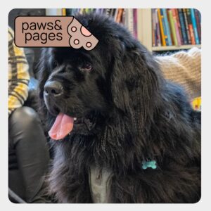 Dog resting calmly while children participate in Paws & Pages
