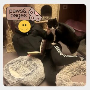 Child reading while a cat lies nearby