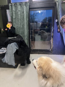 IMG_5664-fotor-20260108131647