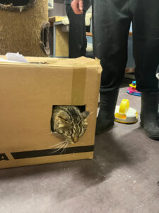 IMG_5670-fotor-2026010813165