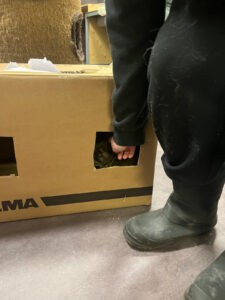 IMG_5671-fotor-20260108131618