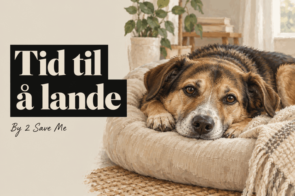Tid til å lande. Illustrasjon av en hund som hviler i en myk seng, med signaturen By 2 Save Me.