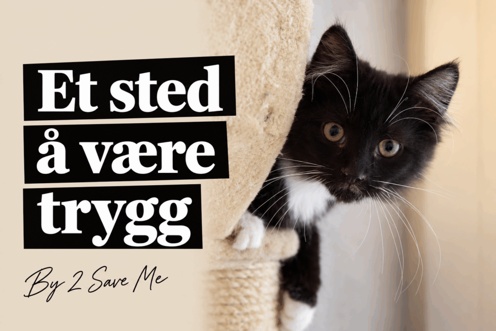 Et sted å være trygg. Kattunge ved et klorestativ, med signaturen By 2 Save Me.