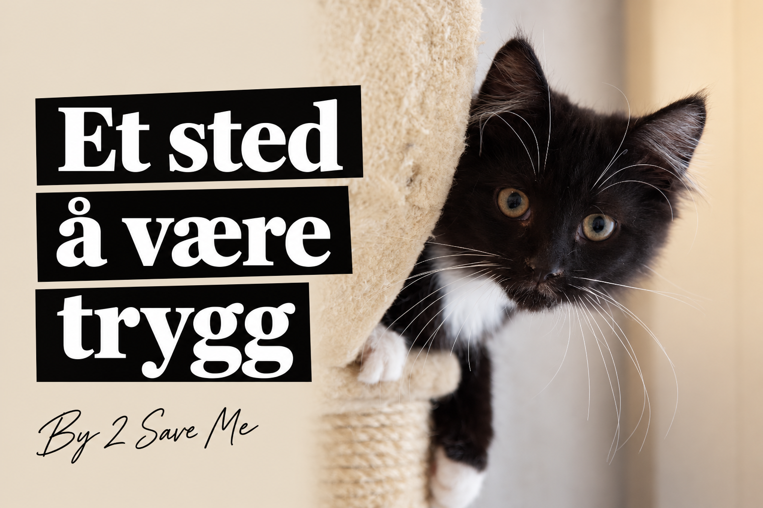 Et sted å være trygg. Kattunge ved et klorestativ, med signaturen By 2 Save Me.